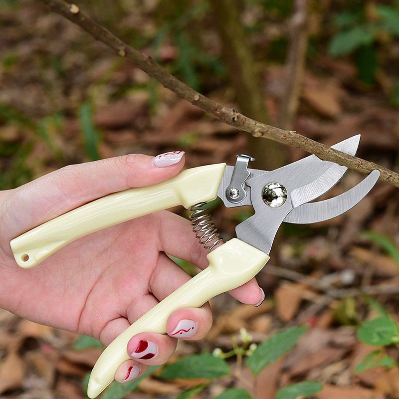 Gardening Tools Brands - Labor‑Saving Garden Pruning Shears, Professional Hand