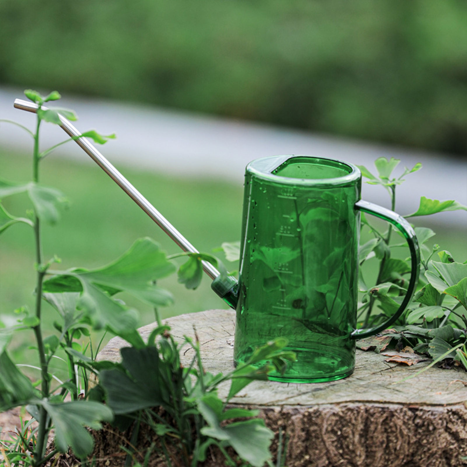 1L/1.5L Indoor Plants Watering - đánh giá và giá Watering Can Long Spout