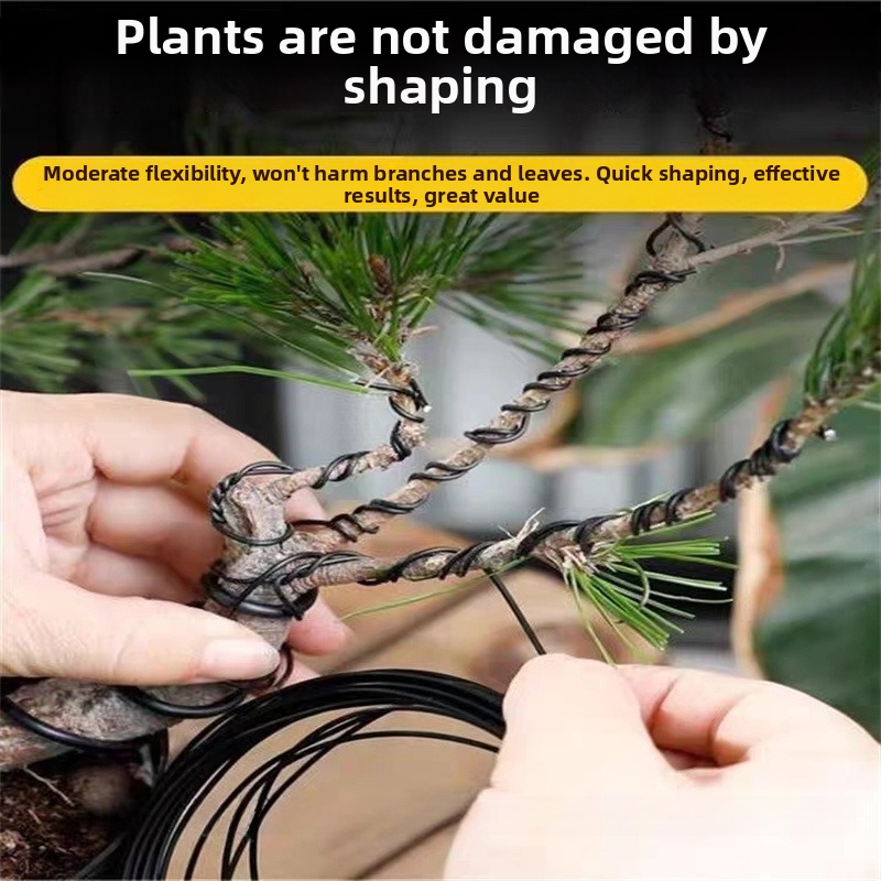 1.5MM Bonsai Wires Aluminum Bo - đánh giá và giá Gardening Tools Diy