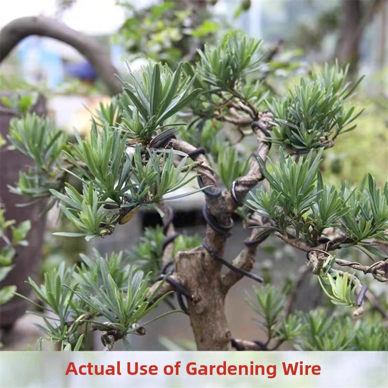 1.5MM Bonsai Wires Aluminum Bo - đánh giá và giá Gardening Tools Diy