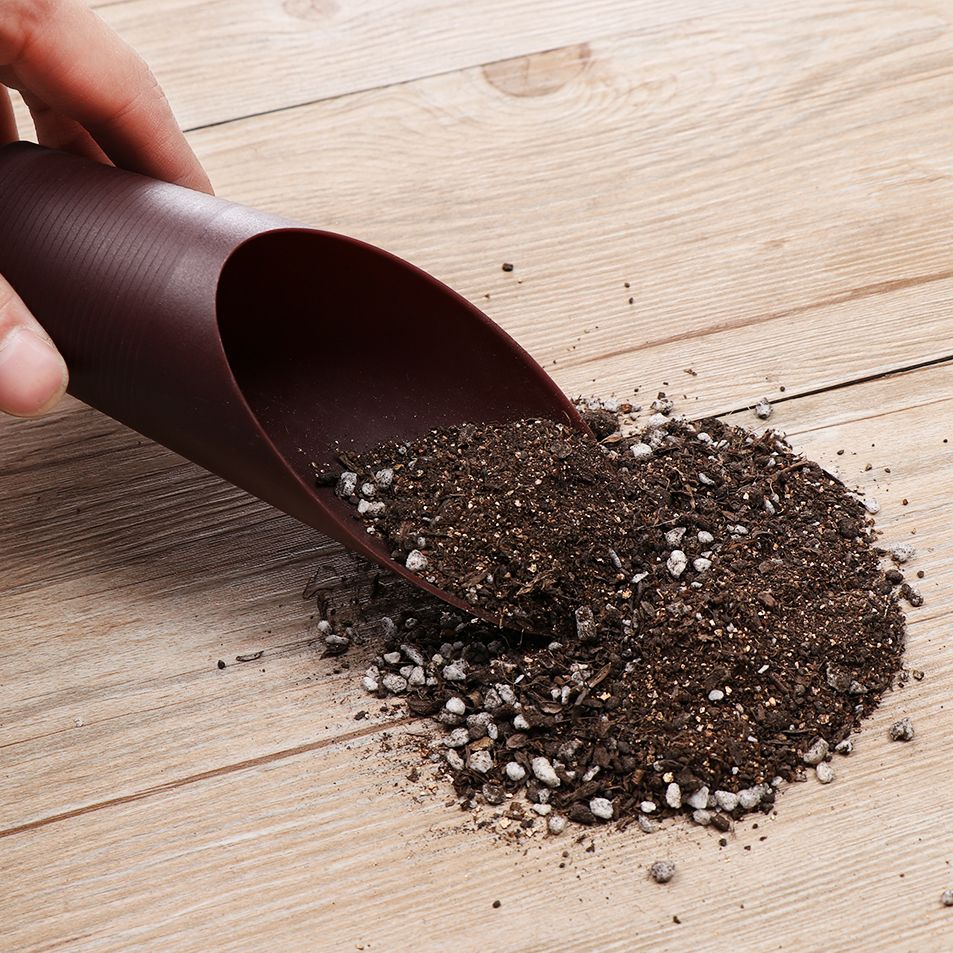 1PC Plastic Soil Shovel Cup Fo - đánh giá và giá Gardening Tools Brands